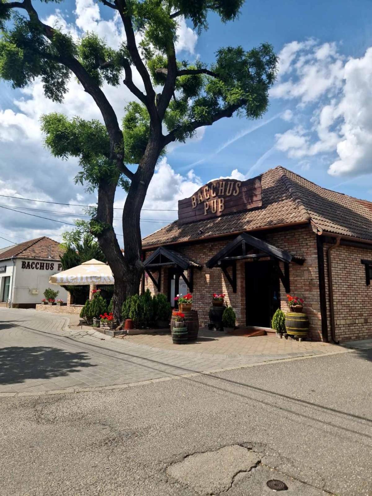 Bacchus Pub Es Panzio Bed and Breakfast Dunaharaszti Exteriör bild